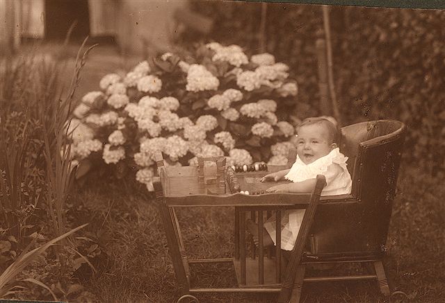 Klik voor foto in apart venster dinie_1918.jpg