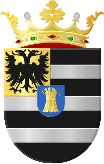 Klik voor foto in apart venster ontstwedde_stadskanaal_wapen.png